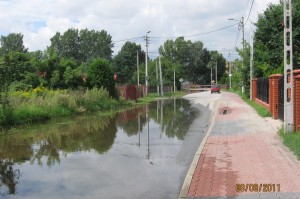 zdjęcie główne