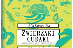 zdjęcie główne