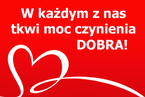 zdjęcie główne