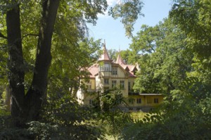 zdjęcie główne